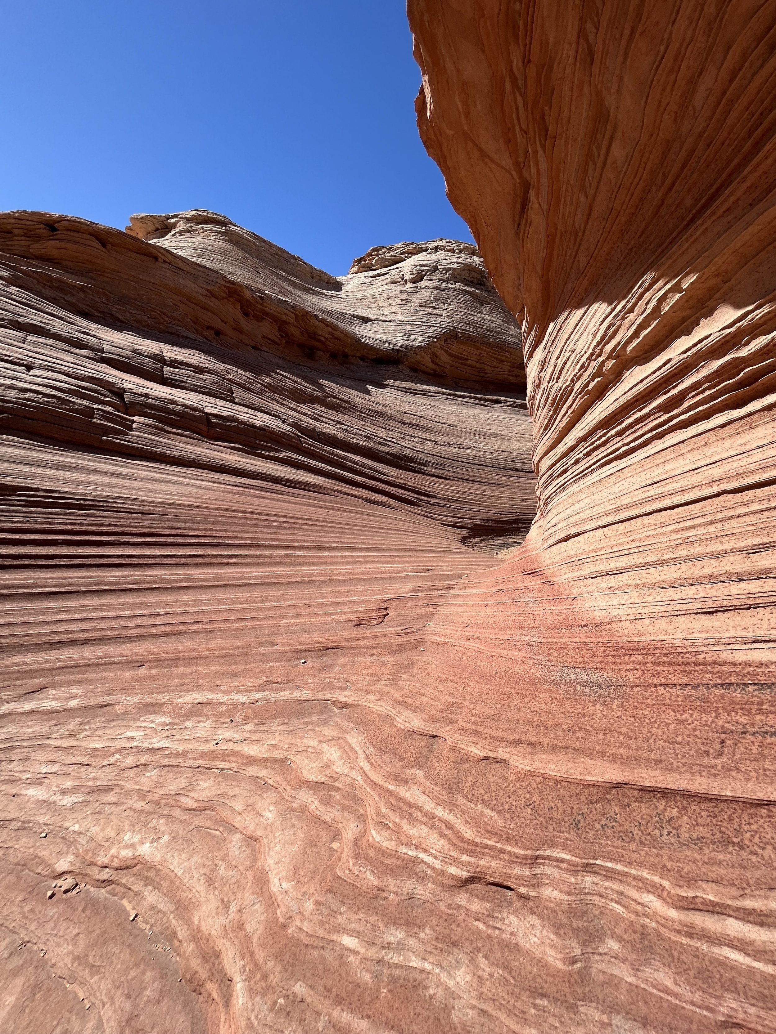 New Wave Trail Page Arizona.jpg