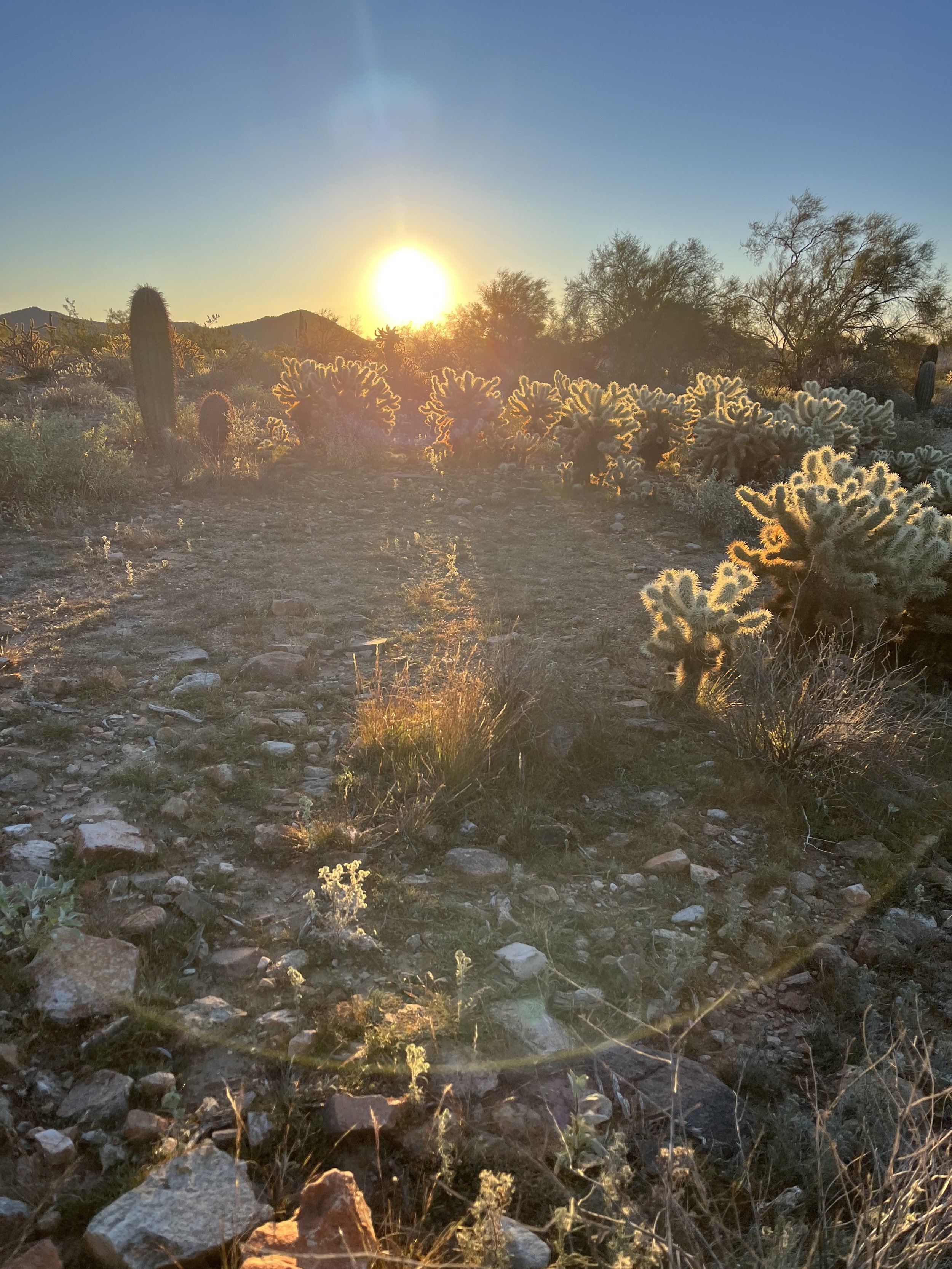 Phoenix Arizona Sunrise.jpg